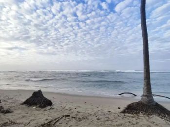 Tanah 1 ha pinggir pantai krui pesisir barat