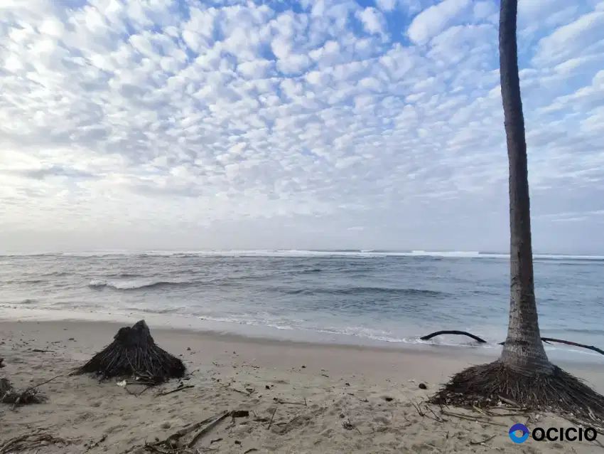 Tanah 1 ha pinggir pantai krui pesisir barat