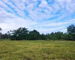 thumbnail-tanah-di-pusat-kota-krui-pesisir-barat-1