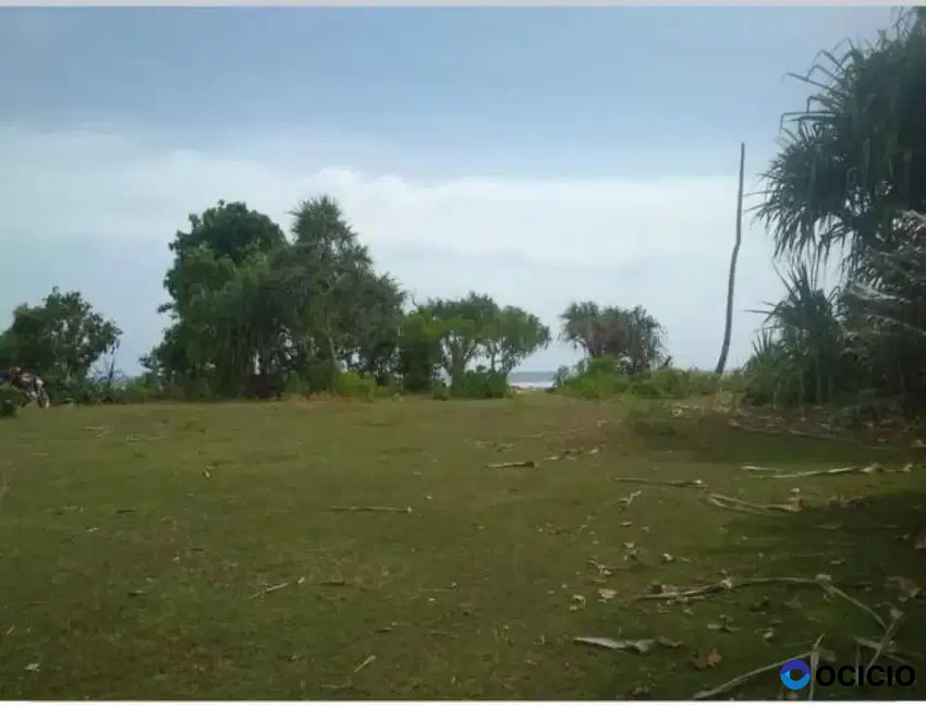 Tanah pantai di mandiri krui pesisir barat