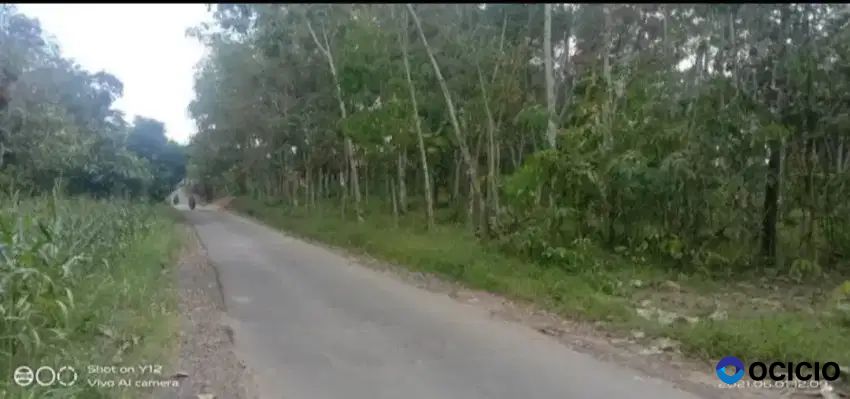 Tanah 3,4 hektar pinggir aspal rulung sari natar