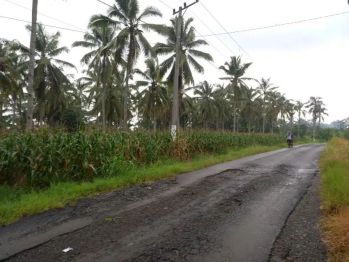 Tanah 4,7 ha di sandaran sidomulyo