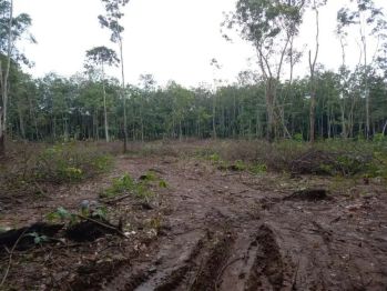 Tanah 1 ha di tanjung bintang