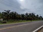 thumbnail-tanah-pantai-3-hektar-di-biha-pesisir-barat-2