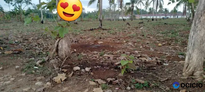 Tanah 1,8 hektar bisa cash tempo di negeri sakti pesawaran