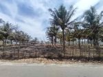 thumbnail-tanah-pinggir-pantai-biha-pesisir-barat-1