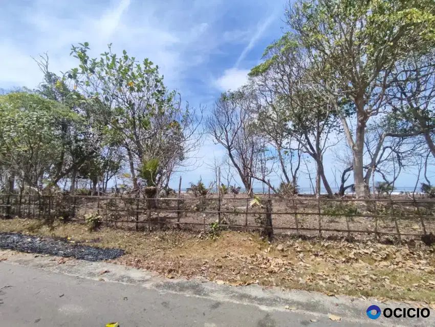 Tanah pinggir pantai biha pesisir barat