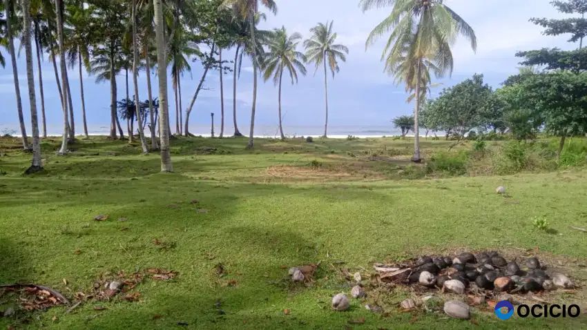 Tanah pantai 1 hektar di mandiri krui pesisir barat