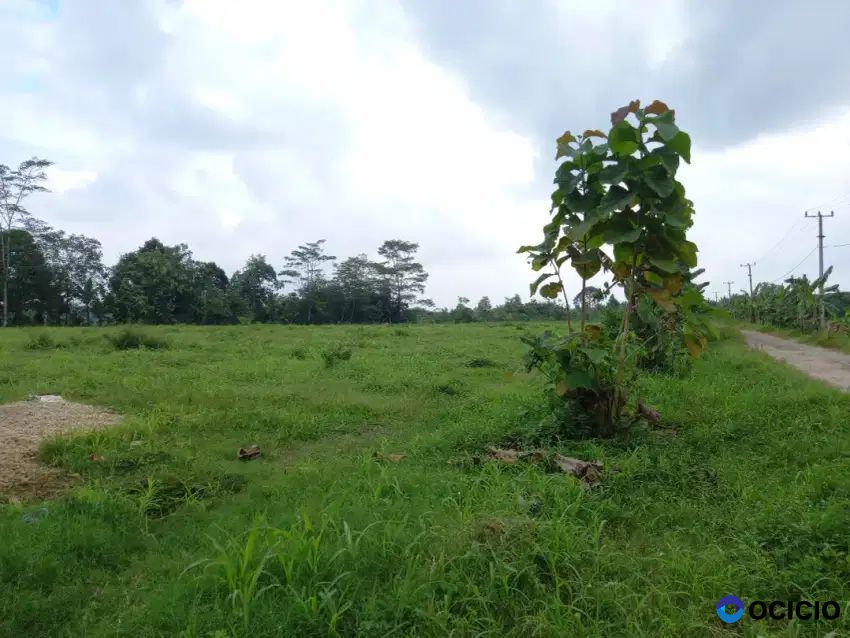 Tanah 10 hektar di rulung mulya natar