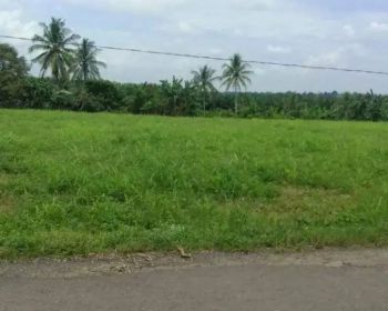 Tanah 8,7 hektar batas sungai pinggir aspal natar