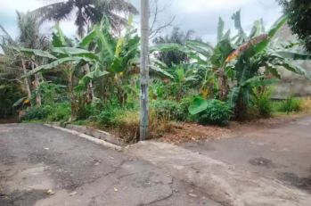 Tanah 300 meter di pramuka dekat global madani rajabasa