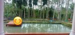 thumbnail-rumah-plus-kolam-ikan-di-kemiling-bandar-lampung-2