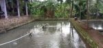 thumbnail-rumah-plus-kolam-ikan-di-kemiling-bandar-lampung-3