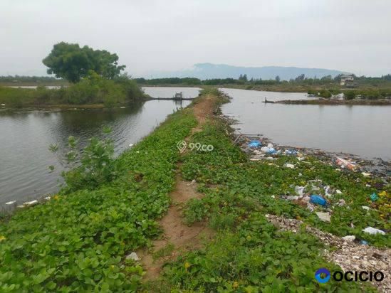 Sale Tanah: tanah dijual