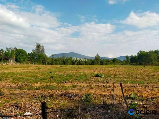 Sale Tanah: Tanah kebun dijual