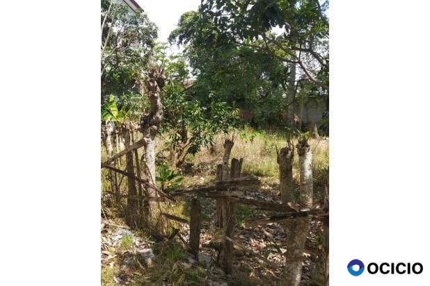 Sale Tanah: tanah dijual