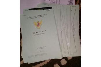 Sale Tanah: kebun sawit dijual