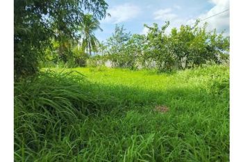 tanah cocok untuk gudang,gedung,toko dll