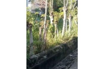 Sale Tanah: tanah dijual