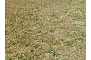 Sale Tanah: tanah dijual