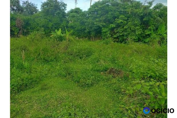 tanah dijual jln pango