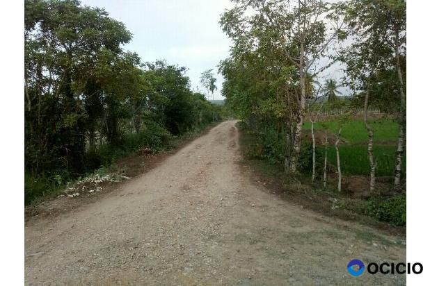 tanah dijual untuk kuburan