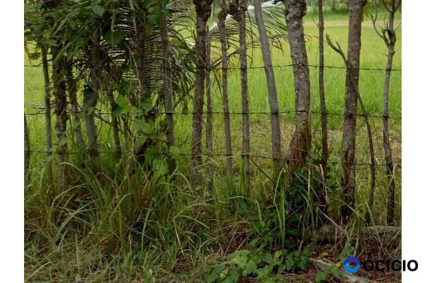 tanah dijual dekat terminal batoh