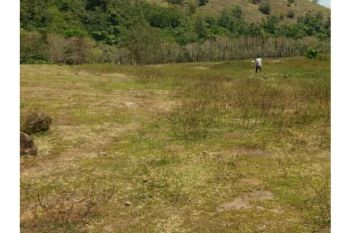 tanah dijual di blang bintang