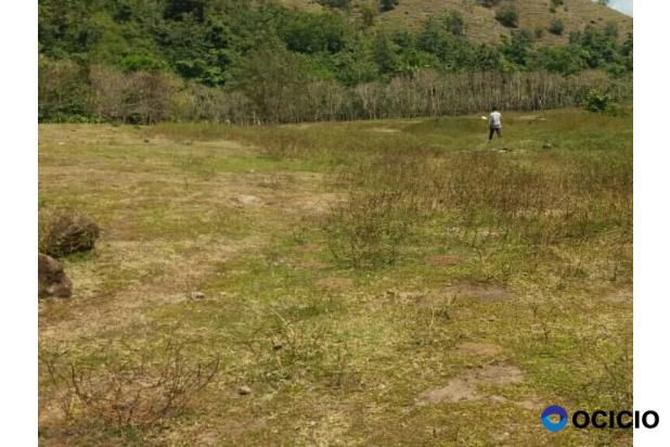 tanah dijual di blang bintang