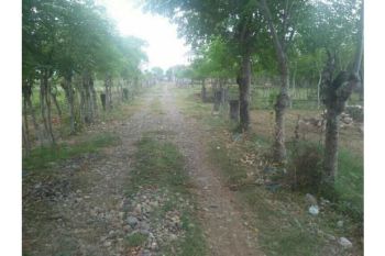 Sale Tanah: tanah dijual