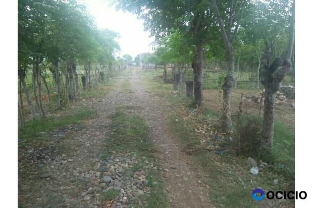 Sale Tanah: tanah dijual