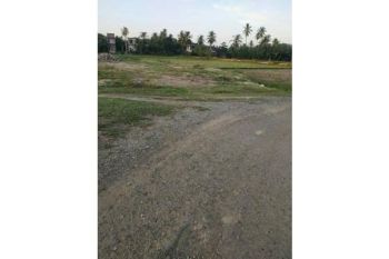 Sale Tanah: tanah dijual cot cut