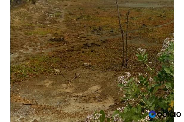 lahan bagi hasil kajhu