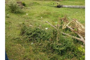 Sale Tanah: Dijual tanah kajhu