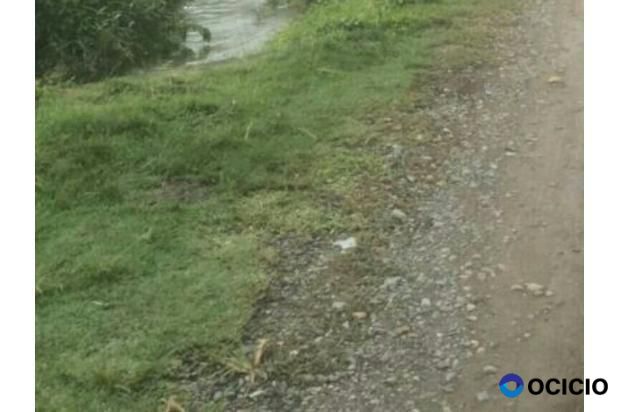 tanah dijual belakang wali nangro