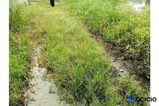 Sale Tanah: tanah dijual