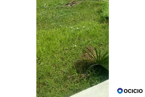 Sale Tanah: tanah dijual