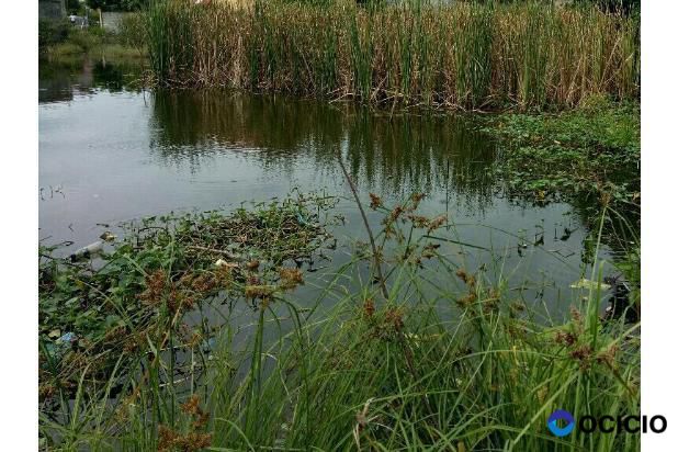 Dijuaal tanah di batoh Aceh