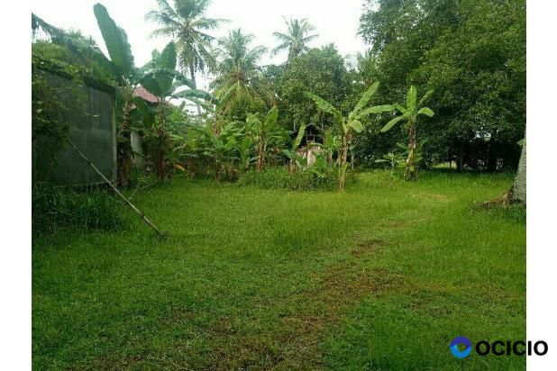 Sale Tanah: tanah dijual