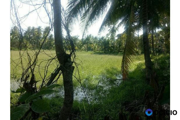 tanah dijual dekat pasar lambaro angan