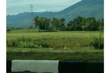 tanah dijual jln sukarno hatta