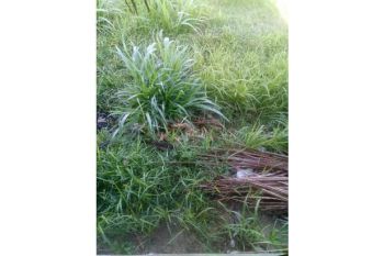 tanah di jual di lamteh ulka