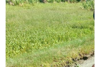 tanah bagi hasil aceh besar