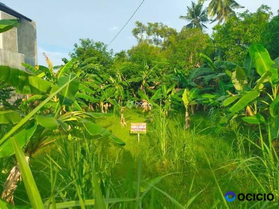 Sale Tanah: tanah dijual dibrawe