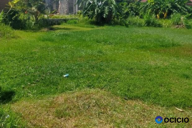 Sale Tanah: tanah lahan dijual