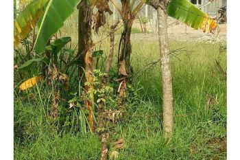 Tanah finial delay Hermes hotel