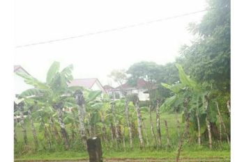 Sale Tanah: tanah dijual lamdom