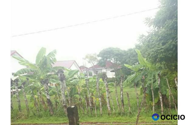 Sale Tanah: tanah dijual lamdom
