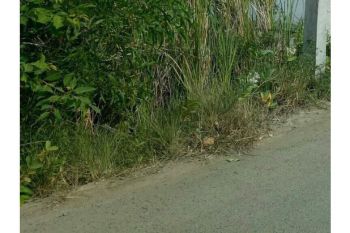 tanah dijual dekat hotel...