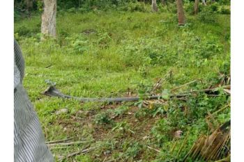 Sale Tanah: (tanah) lahan dijual